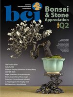 BCI Bonsai & Stone Appreciation Magazine